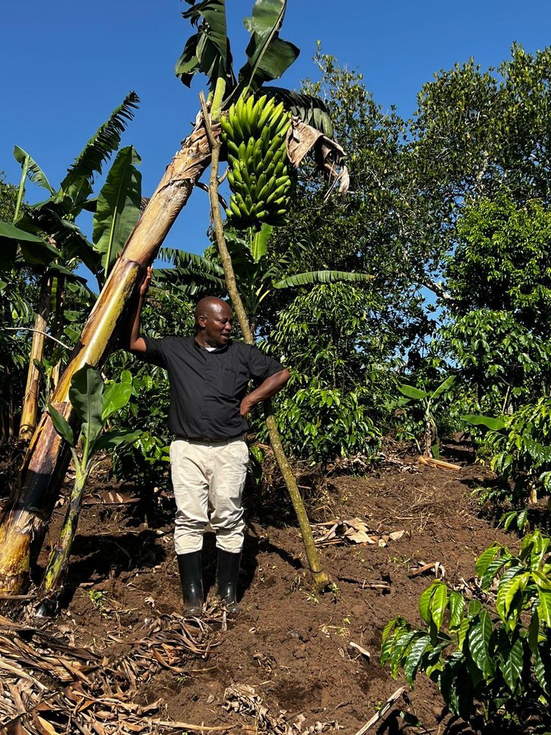 Community agriculture in Binzi, Uganda