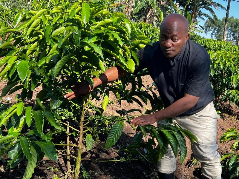 Community agriculture in Binzi, Uganda