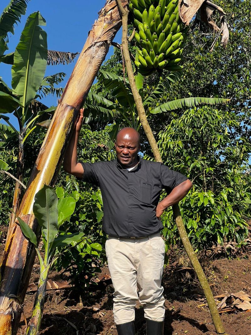 Community agriculture in Binzi, Uganda