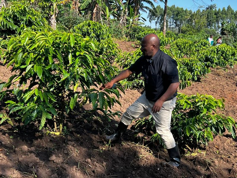 Community agriculture in Binzi, Uganda