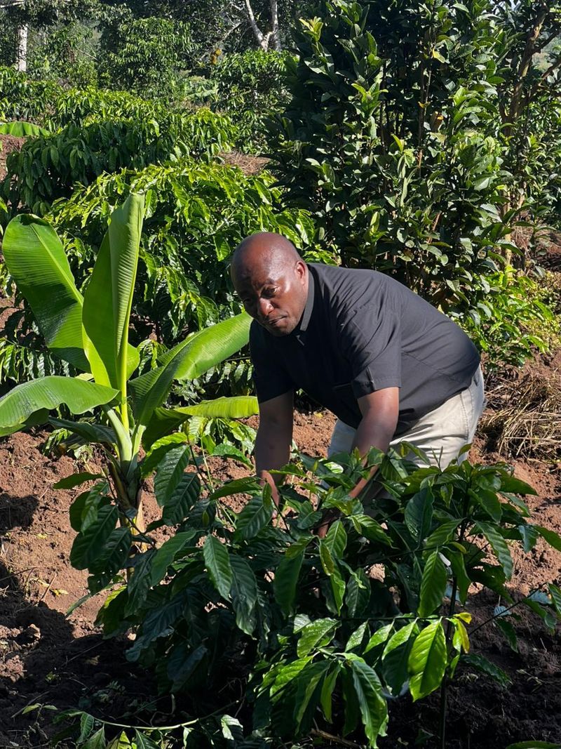 Community agriculture in Binzi, Uganda