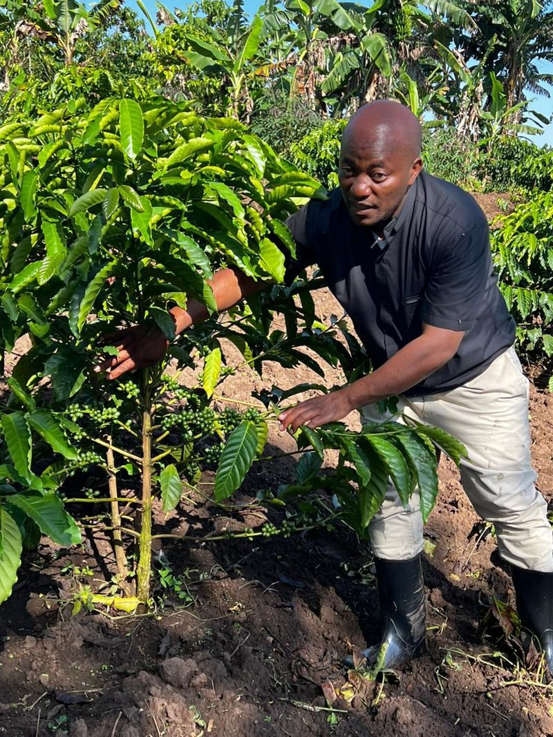 Community agriculture in Binzi, Uganda