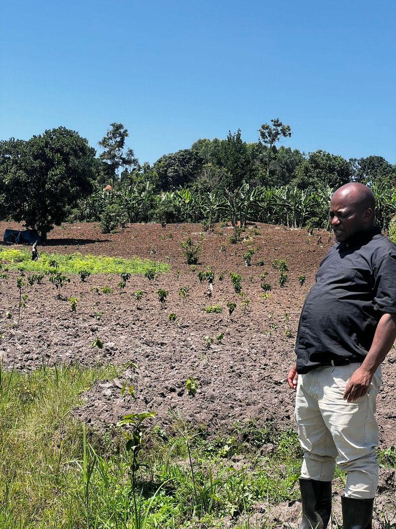 Community agriculture in Binzi, Uganda