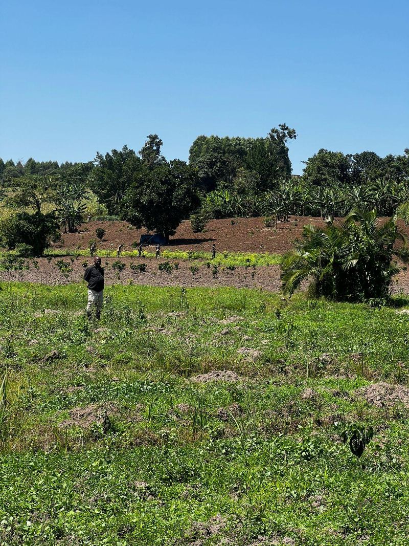 Community agriculture in Binzi, Uganda