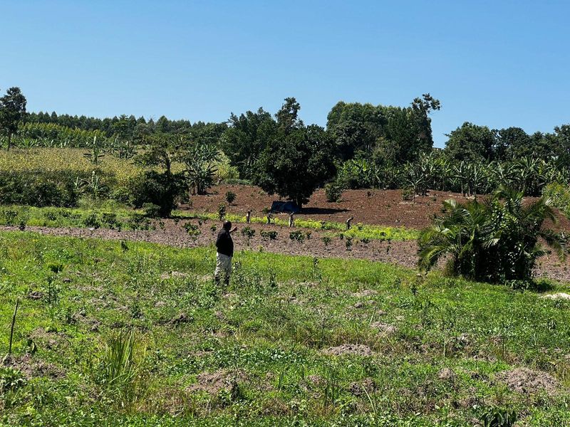 Community agriculture in Binzi, Uganda