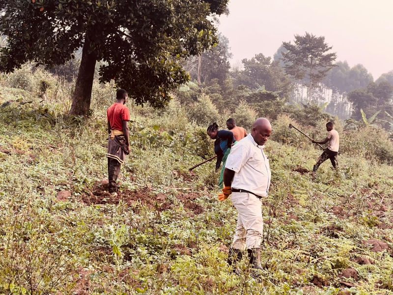 Community agriculture in Binzi, Uganda