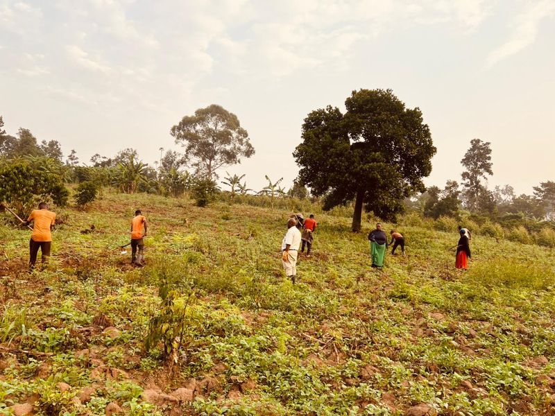Community agriculture in Binzi, Uganda
